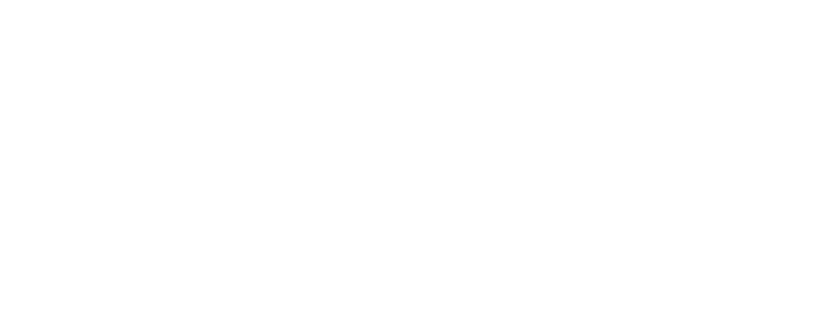 Logo BeziTransport blanc